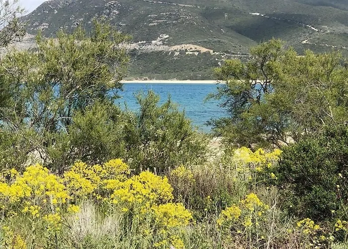 Agliastru A 900m De La De Lozari *